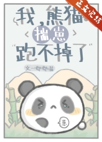 我熊猫超凶全文免费阅读