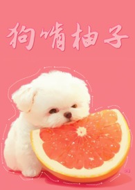 狗啃柚子小说